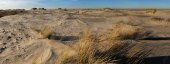 De duinen van Terschelling