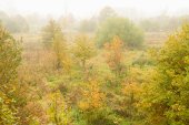 Natuurreservaat Demerbroeken