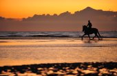 Ruiter op het strand