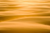 Zandstorm op het strand