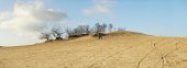 Zandverstuivingslandschap