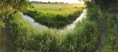 Wandelpad aan de Blankaart