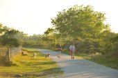 Wandelen in de Doornpanne
