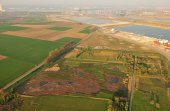 Putten Weiden