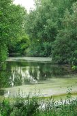Oude Dijle