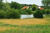 Grote Vijver deel 1