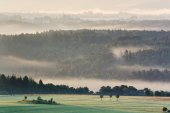Ochtendnevels stijgen op tussen de bossen