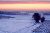 Holle weg bij zonsopgang