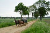 Rijtuig met tweespan
