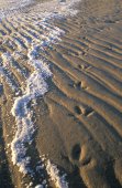 Sporen op het strand