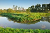 Grote Nete