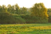 Vallei van de Grote Nete