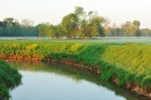 Grote Nete