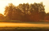Vallei van de Grote Nete