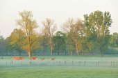 Vallei van de Grote Nete