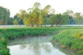 Grote Nete
