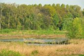 Schiphoekpolder