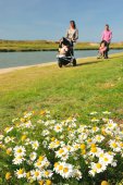 Wandelen in Het Zwin