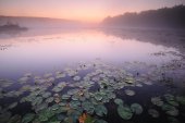 Natuurreservaat De Teut