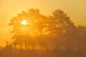 Natuurreservaat De Teut