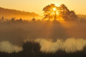Natuurreservaat De Teut