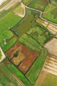 Dudzeelse polder
