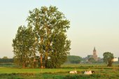 Avelgemse Scheldemeersen