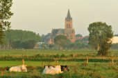 Avelgemse Scheldemeersen