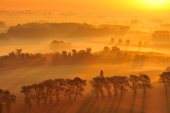 Blankaart en Vijfhuizenbroek