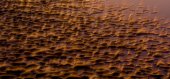Ribbels in het zand