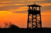 Uitkijktoren met vogelkijkers