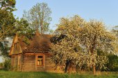 Huis in de vallei van de Biebrza