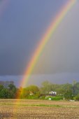 Regenboog over maisakker