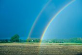 Regenboog over maisakker