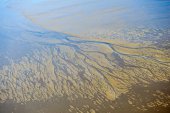 Waddenzee