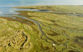 De Boschplaat, Terschelling