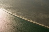 Zeehonden overtijen op zandbank