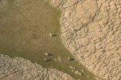 Nationaal Park Lauwersmeer
