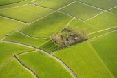 Boerderij in weidelandschap