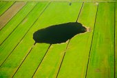 Plas in veenakkers