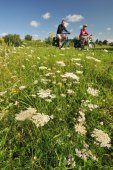 Fietsen langs de Schelde in Melle