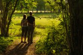 Man en vrouw kijken naar grazende schapen