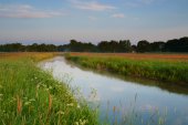 Beekdallandschap Drentse Aa
