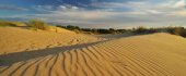 Plaatsduinen