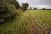 Akkerrand naast een natuurgebied