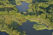 Natuurreservaat De Ballewijers