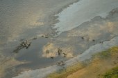 Natuurgebied De Rug