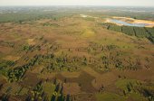 Mechelse Heide