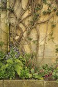 Hidcote Manor Garden