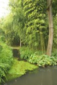 De tuinen van Monet